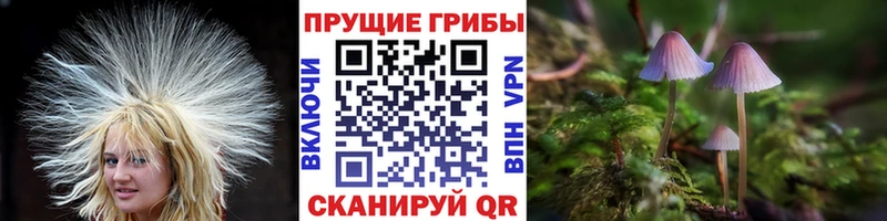 Галлюциногенные грибы мицелий  Зерноград 